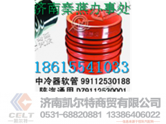 DZ93259535301,中冷器胶管,济南凯尔特商贸有限公司