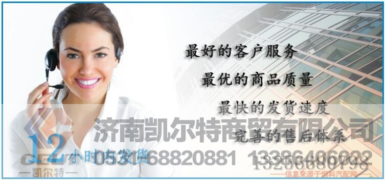 99100590031,发动机后支撑后悬,济南凯尔特商贸有限公司