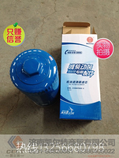 61000070005,带螺丝帽滤芯,济南凯尔特商贸有限公司