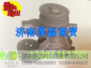 612600061296,水泵,济南凯尔特商贸有限公司