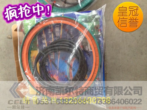 187*220*30,秦燕后輪油封一體三封,濟(jì)南凱爾特商貿(mào)有限公司