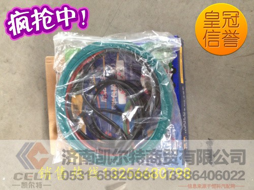 187*220*30,秦燕后輪油封一體三封,濟(jì)南凱爾特商貿(mào)有限公司