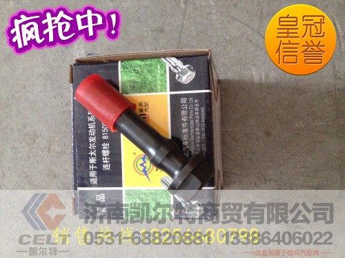 WD61800030019,秦燕WD618连杆螺丝,济南凯尔特商贸有限公司