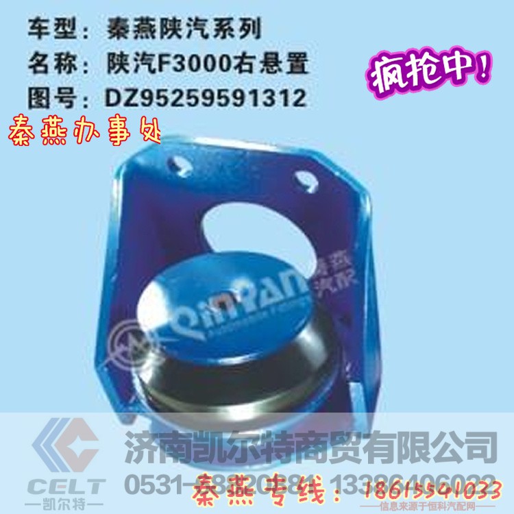 DZ95259591312,右悬置,济南凯尔特商贸有限公司