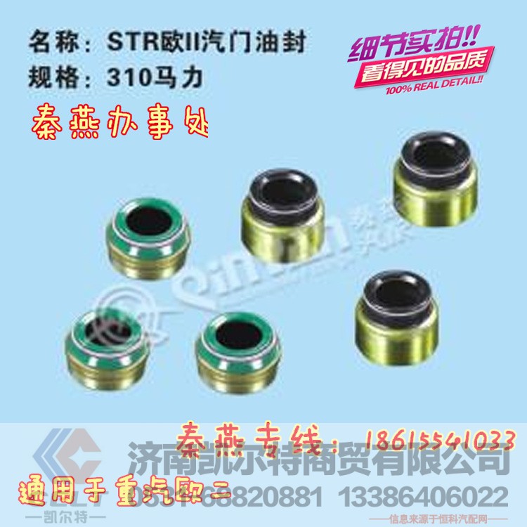 310馬力氣門(mén)油封,310馬力氣門(mén)油封,濟(jì)南凱爾特商貿(mào)有限公司