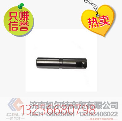 199100520065,陕汽奥龙钢板销,济南凯尔特商贸有限公司