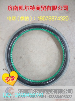 中国重汽 轮毂油封