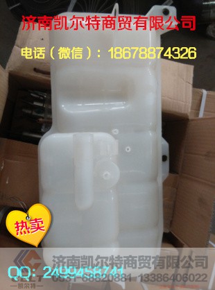 WG9719530250,膨脹水箱,濟(jì)南凱爾特商貿(mào)有限公司