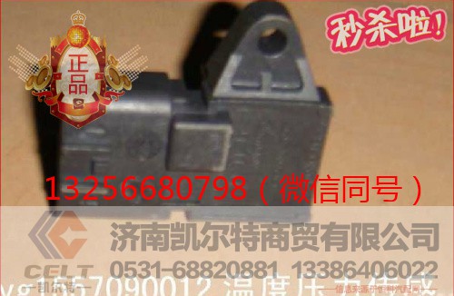 VG1557090012,溫度壓力傳感器,濟(jì)南凱爾特商貿(mào)有限公司
