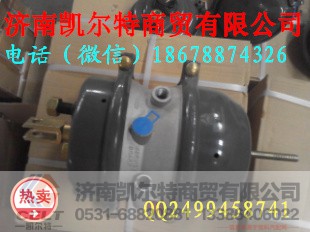 WG9000360108,双膜片式制动室,济南凯尔特商贸有限公司