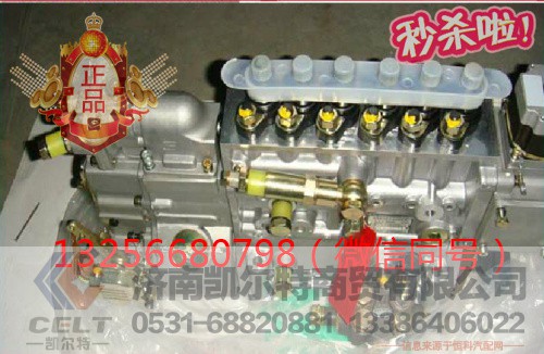 VG1092080120,发动机喷油泵总成,济南凯尔特商贸有限公司