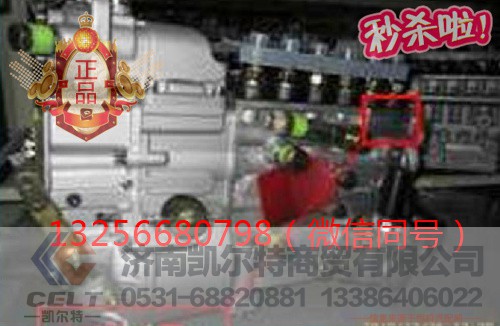 VG1093080180,发动机喷油泵总成,济南凯尔特商贸有限公司