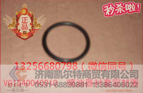 VG1540040010,發(fā)動機噴油器襯套密封圈,濟南凱爾特商貿(mào)有限公司
