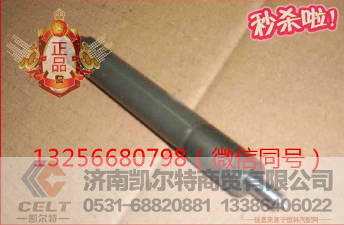 VG1560080276,發(fā)動機噴油器總成,濟南凱爾特商貿(mào)有限公司