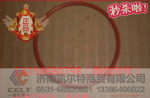 VG190320035,發(fā)動機(jī)密封圈,濟(jì)南凱爾特商貿(mào)有限公司