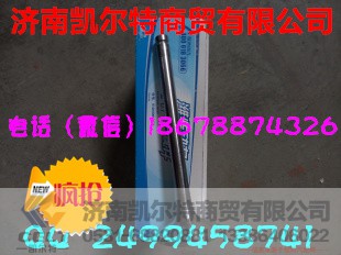 612600050073,重汽濰柴發(fā)動(dòng)機(jī)進(jìn)氣門,濟(jì)南凱爾特商貿(mào)有限公司