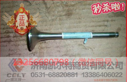 VG1540050015,发动机进气门,济南凯尔特商贸有限公司