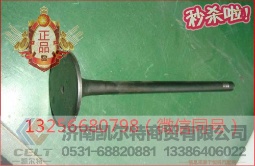 VG1096050015,发动机进气门,济南凯尔特商贸有限公司 VG1096050015,发动机进气门,济南凯尔特商贸有限公司
