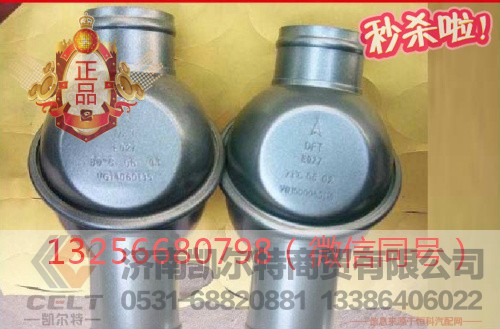 VG14060135,发动机节温器总成,济南凯尔特商贸有限公司 VG14060135,发动机节温器总成,济南凯尔特商贸有限公司