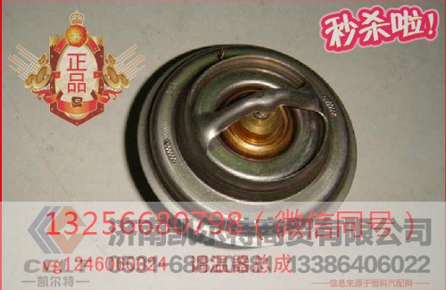 VG1246060024,发动机节温器,济南凯尔特商贸有限公司