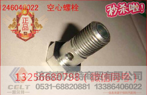 VG1246040022,发动机缸盖放气管空心螺栓,济南凯尔特商贸有限公司