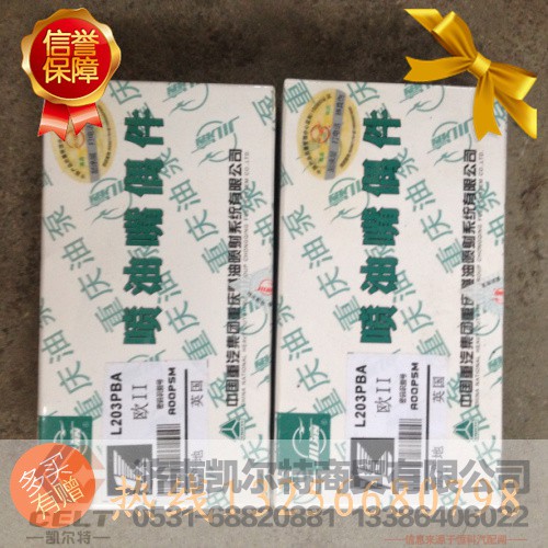 61560080276-1,喷油嘴偶件,济南凯尔特商贸有限公司