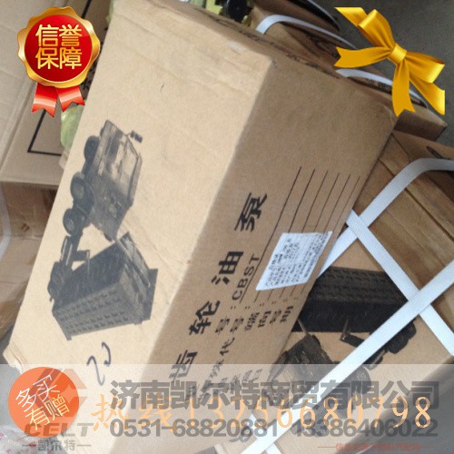 ZL100HW50,齿轮泵,济南凯尔特商贸有限公司