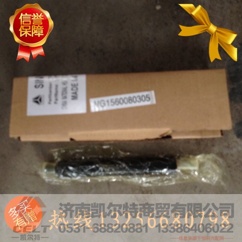 61560080305,喷油器总成,济南凯尔特商贸有限公司