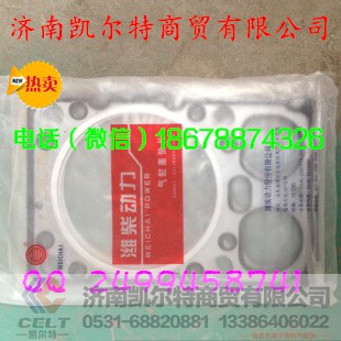 61500040049,重汽豪沃斯太尔金王子汽缸垫衬垫,济南凯尔特商贸有限公司