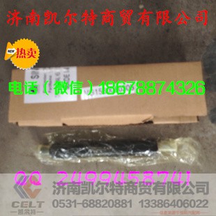 61560080305,豪沃斯太尔金王子喷油器总成,济南凯尔特商贸有限公司