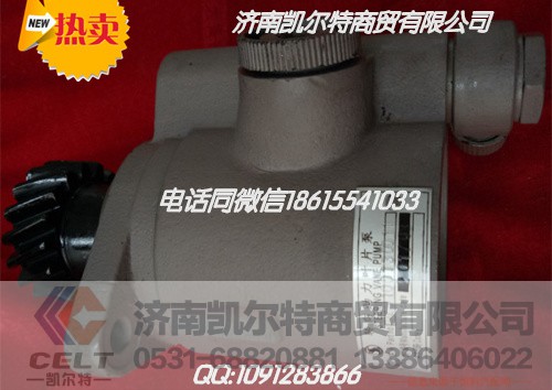 DZ9100130011,助力泵,济南凯尔特商贸有限公司