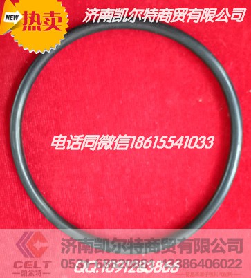 1880410052,转向节上密封圈,济南凯尔特商贸有限公司