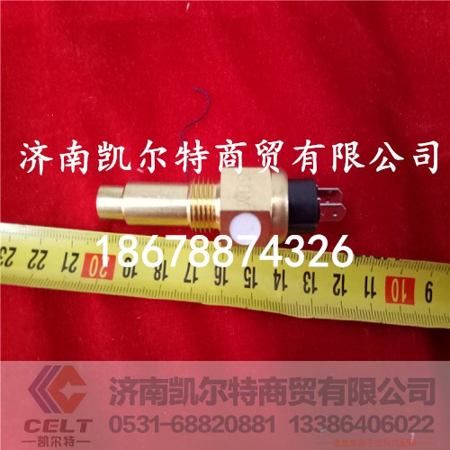 VG14090067,歐Ⅱ水溫傳感器,濟(jì)南凱爾特商貿(mào)有限公司