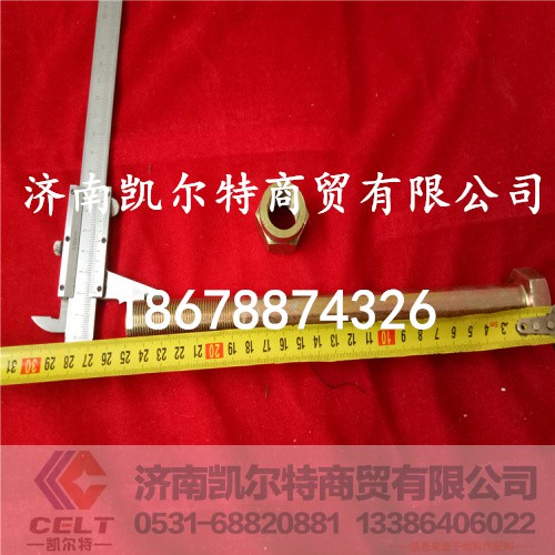 190003803974M20*250,北方奔驰长推力杆螺栓,济南凯尔特商贸有限公司