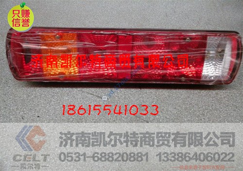 WG9719810011,后尾灯总成,济南凯尔特商贸有限公司