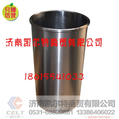 VG1560080012,燃油濾清器,濟(jì)南凱爾特商貿(mào)有限公司