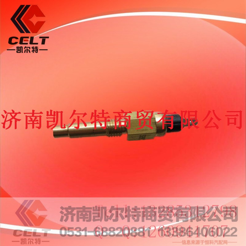 VG614090067,JSTRW水温感应塞（大）,济南凯尔特商贸有限公司