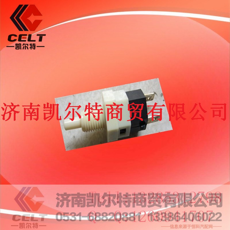 WG6100720020,STR门灯开关,济南凯尔特商贸有限公司