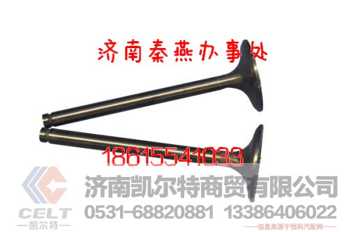 VG1560050041,排气门,济南凯尔特商贸有限公司 VG1560050041,排气门,济南凯尔特商贸有限公司