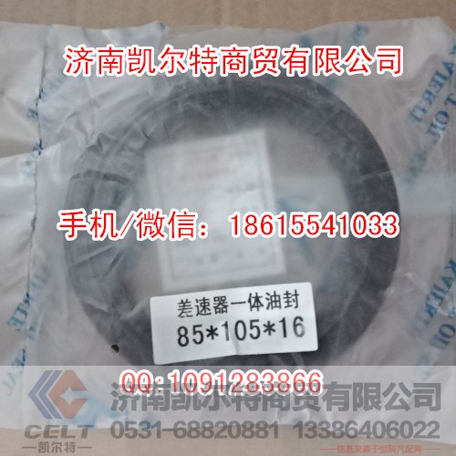 斯太尔豪沃 85X105X16STR差速器油封一体