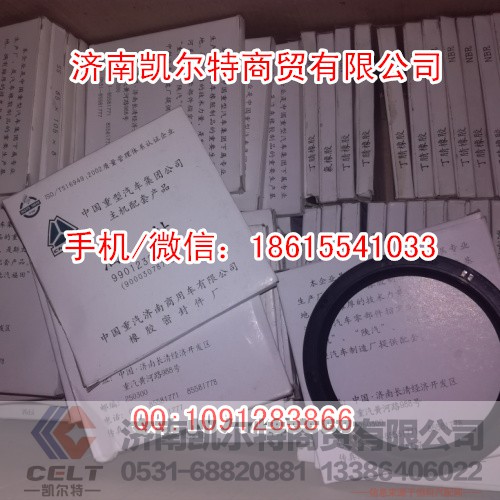 斯太尔豪沃85X105X16差速器一体油封