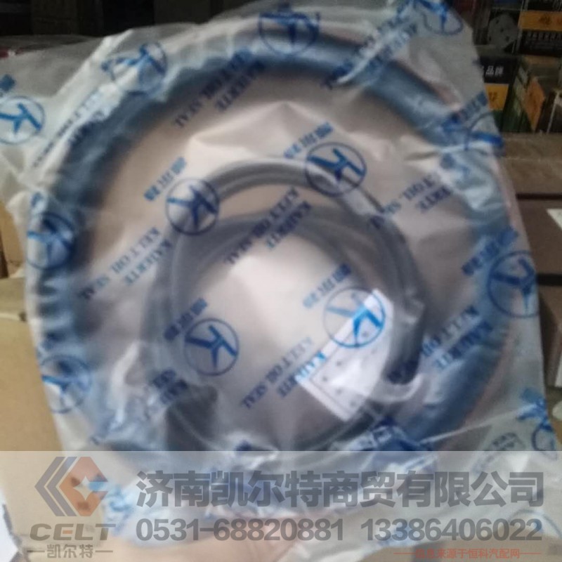 凯尔特后轮油封STR190*220*30