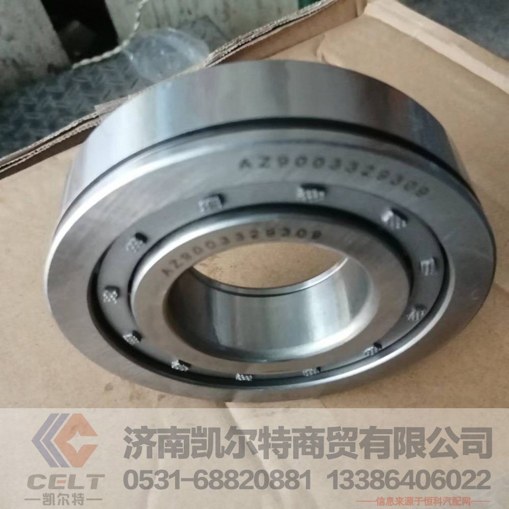AZ9003329309圆柱滚子轴承NUP309E