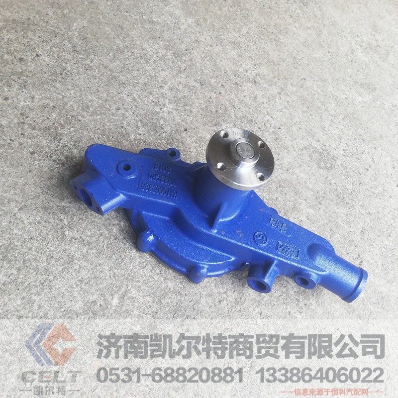 外贸HA10005385 云内YN33CRD水泵