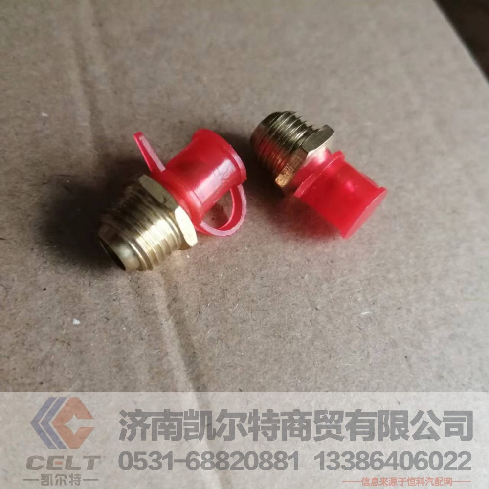 豪沃AZ9003963021黄油嘴10*1直铜