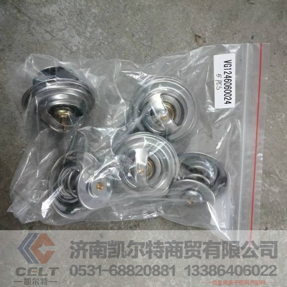 江淮配件 华菱配件VG1246060024节温器