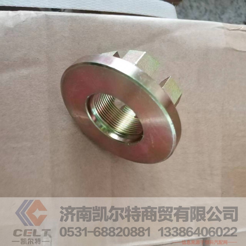 33*1.5 斯太尔STR角齿螺母 9000320013