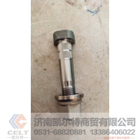 汽車(chē)螺絲AZ9112340123重汽豪沃后輪螺栓