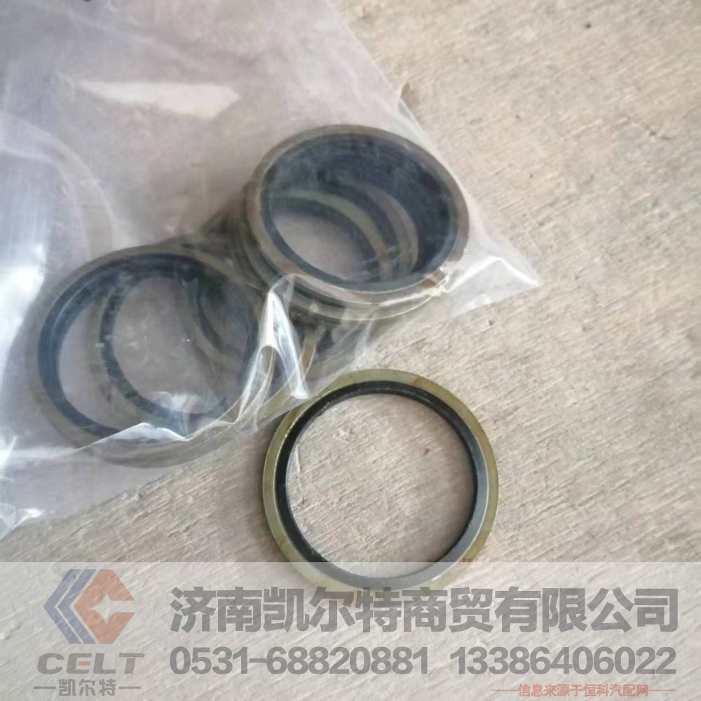 Q72336组合垫 桥壳磁性螺塞垫36