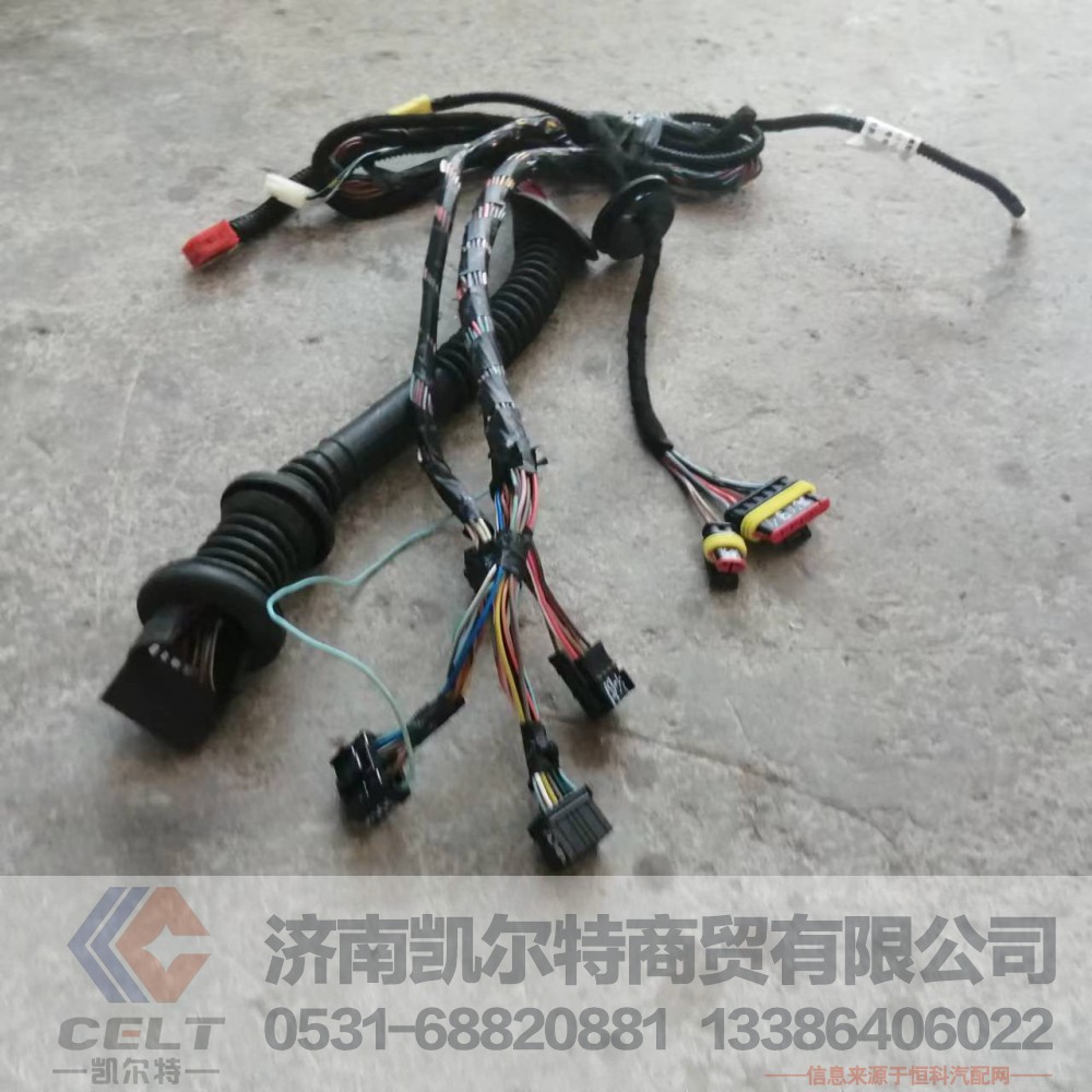 重汽全车 挂车件AZ9918770061左车门线束